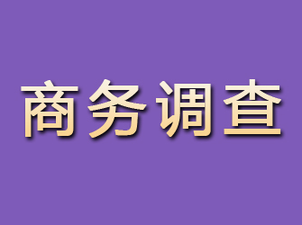 峡江商务调查